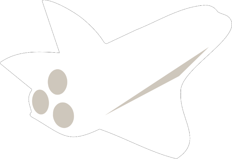 Shuttle